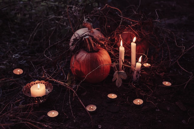 pumpkins on grass